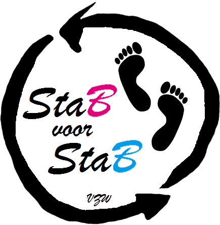 Stab voor Stab vzw