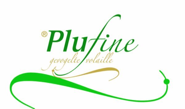 1 Plufine